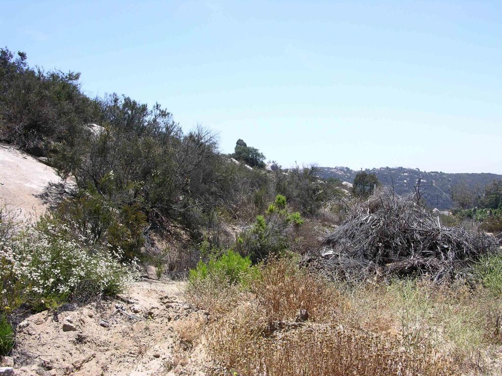 Lot 56 Welcome View Property Photo 13