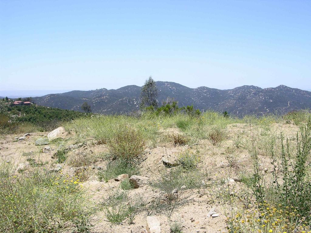 Lot 56 Welcome View Property Photo 17