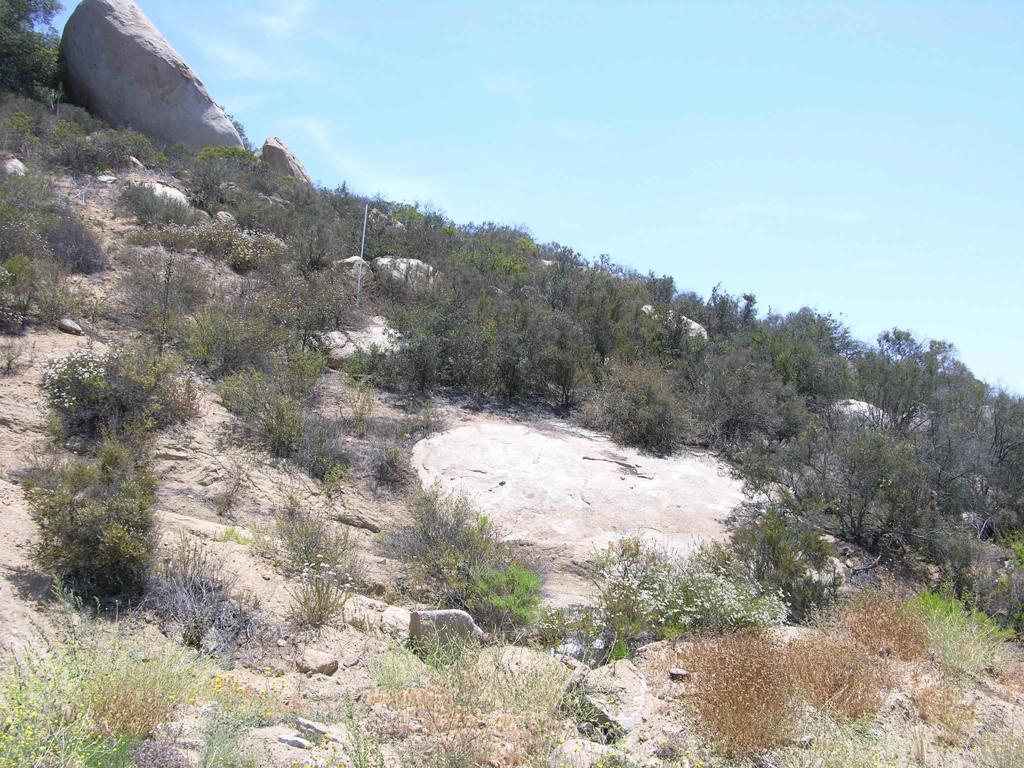 Lot 56 Welcome View Property Photo 19