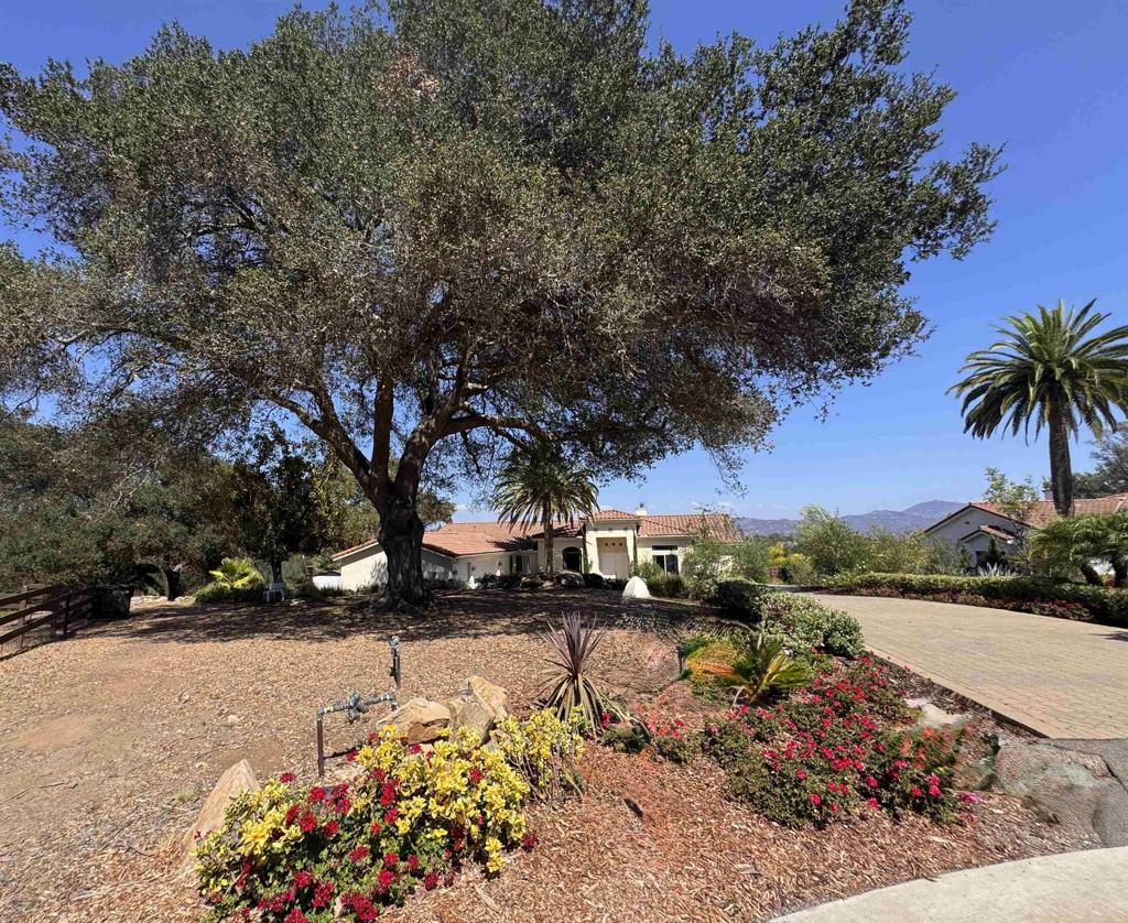 1011 Jimlojan Property Photo 1