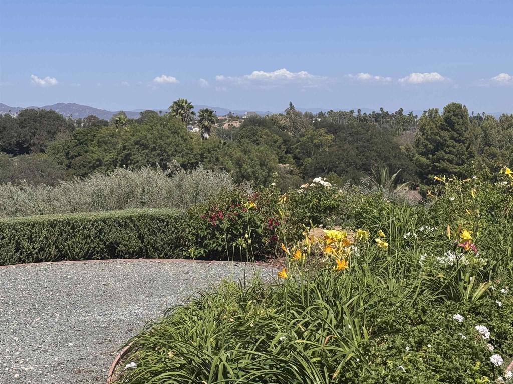 1011 Jimlojan Property Photo 24