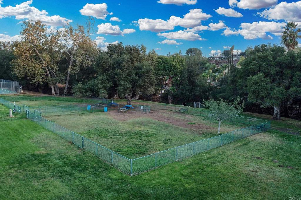 15821 Davis Cup Lane Property Photo 44