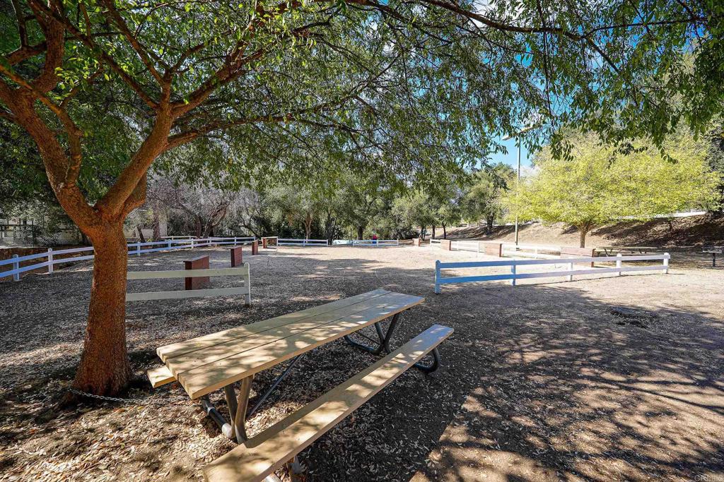 15821 Davis Cup Lane Property Photo 49