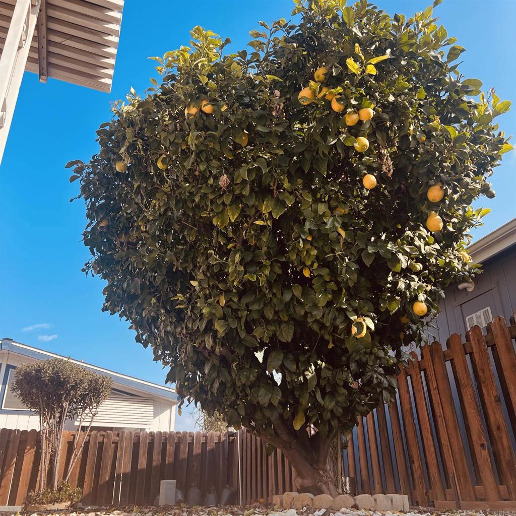 27250 Murrieta Road 364 Property Photo 1