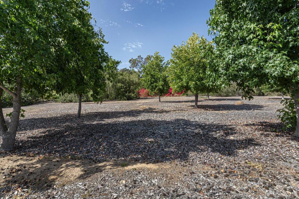 6678 Las Colinas Property Photo 34