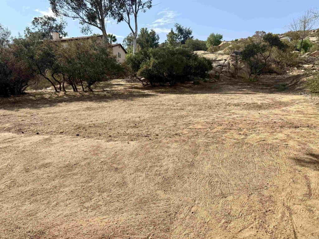 Daza Drive Property Photo 8