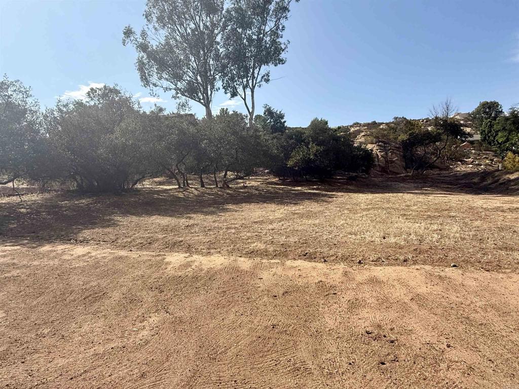 Daza Drive Property Photo 9