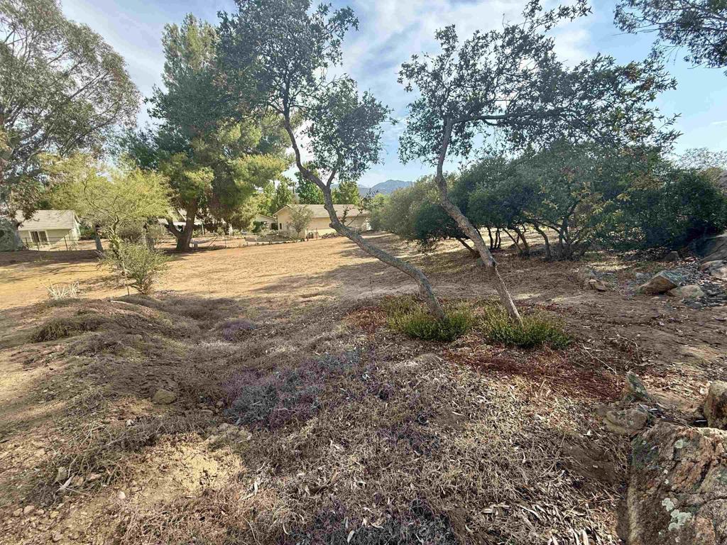Daza Drive Property Photo 13