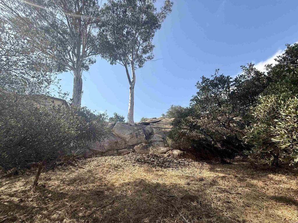 Daza Drive Property Photo 33