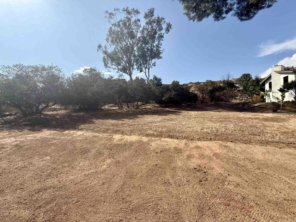 Daza Drive Property Photo 34