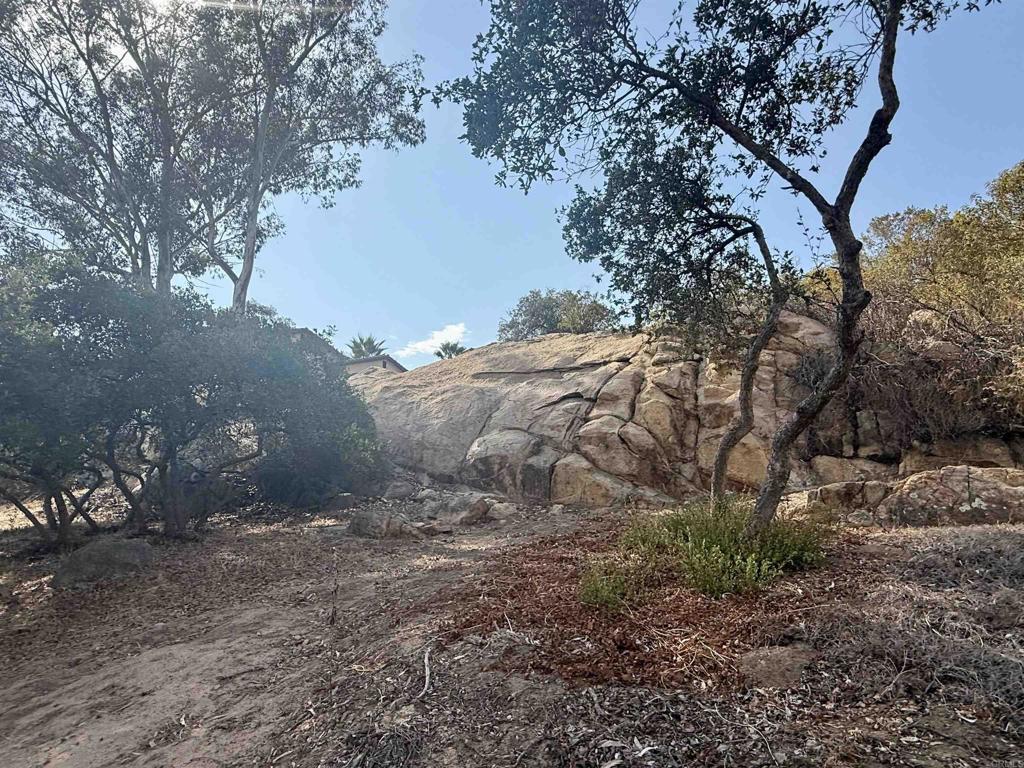 Daza Drive Property Photo 35