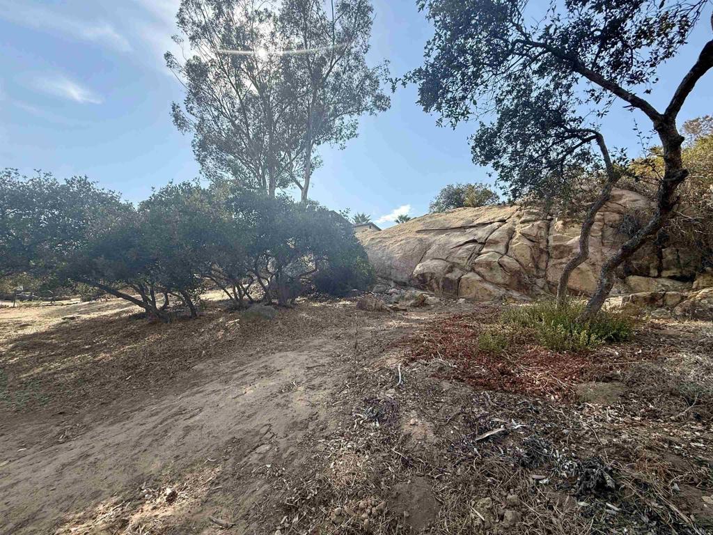 Daza Drive Property Photo 36