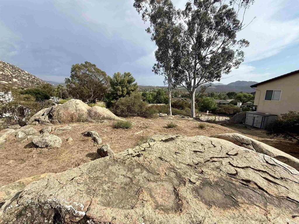Daza Drive Property Photo 38