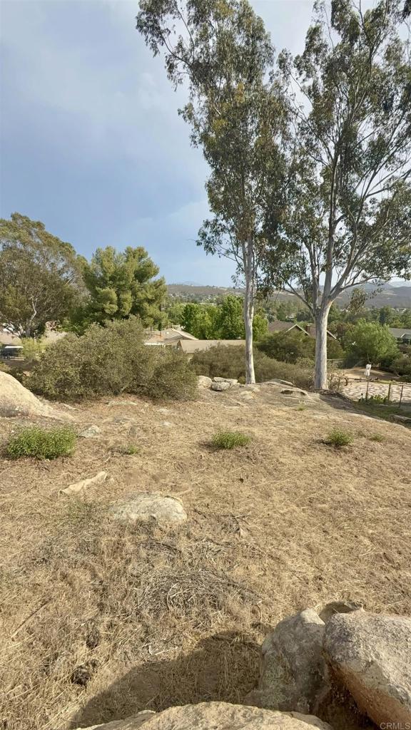 Daza Drive Property Photo 40