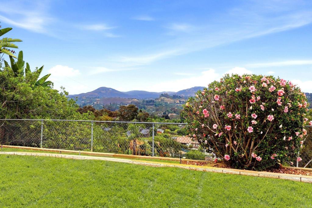 293 Via Del Cerrito Property Photo 65