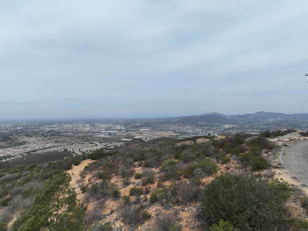 0 Washingtonia Drive Property Photo 11