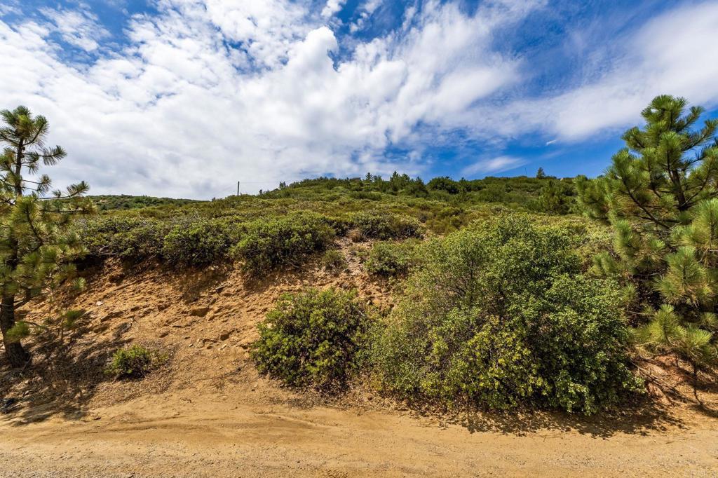 Manzanita Drive Property Photo 12
