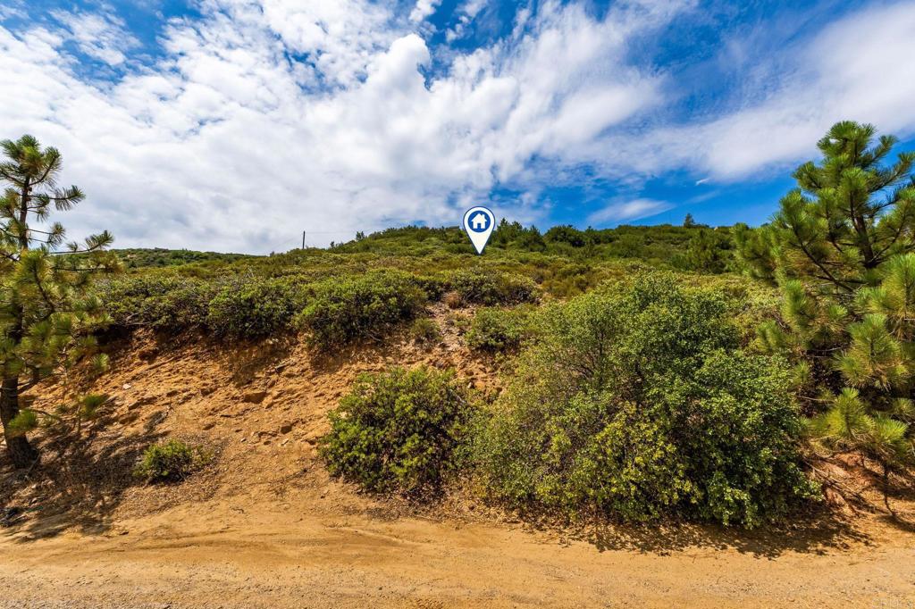 Manzanita Drive Property Photo 13