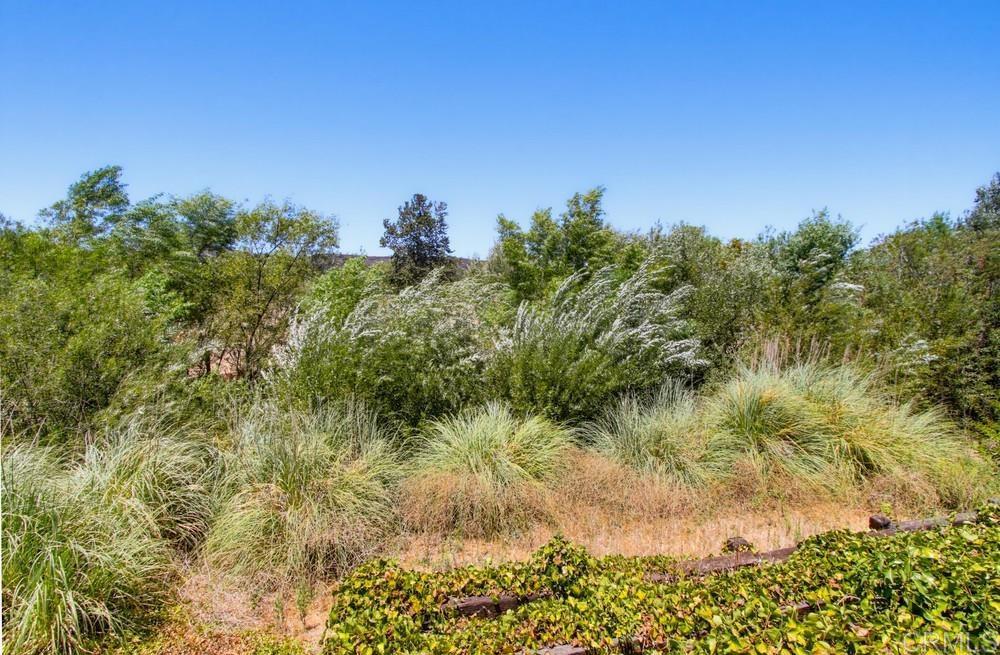 31122 Old River Road Property Photo 49