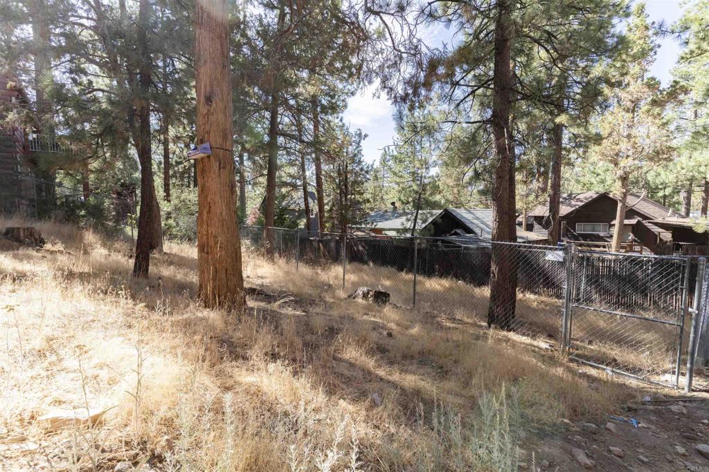 131 E Aeroplane Boulevard Property Photo 36