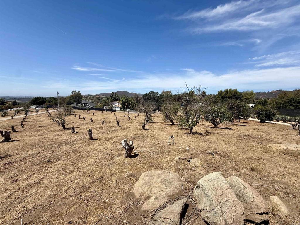 Canyon Heights Road Property Photo 11