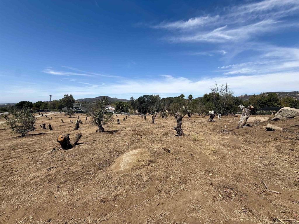 Canyon Heights Road Property Photo 15