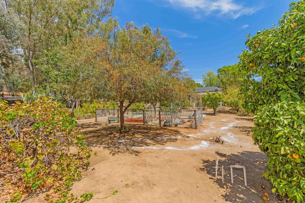 15850 Fecanin Way Property Photo 21