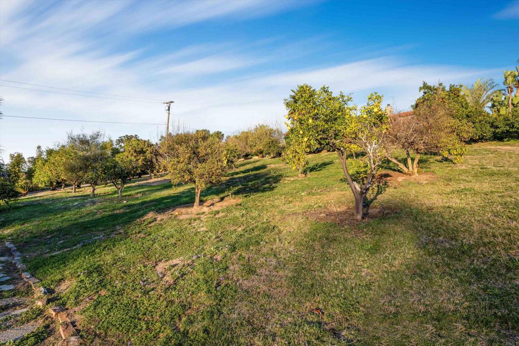 2440 Los Alisos Property Photo 48