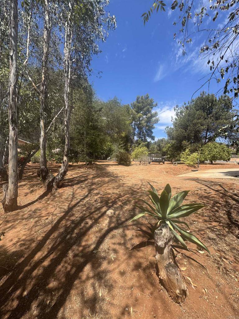 11556 Bridle Path Lane Property Photo 18