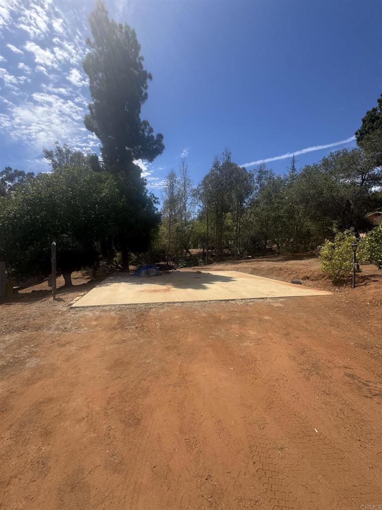 11556 Bridle Path Lane Property Photo 19