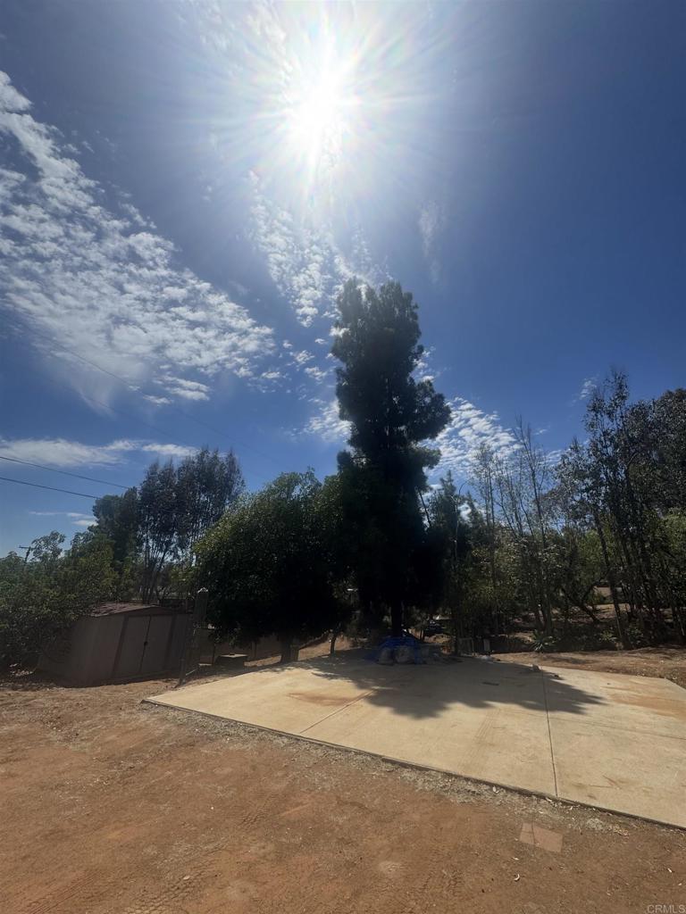 11556 Bridle Path Lane Property Photo 21