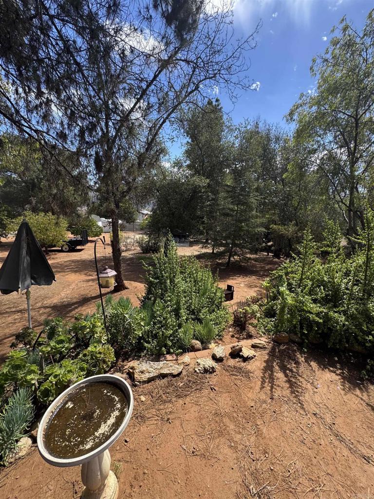 11556 Bridle Path Lane Property Photo 24