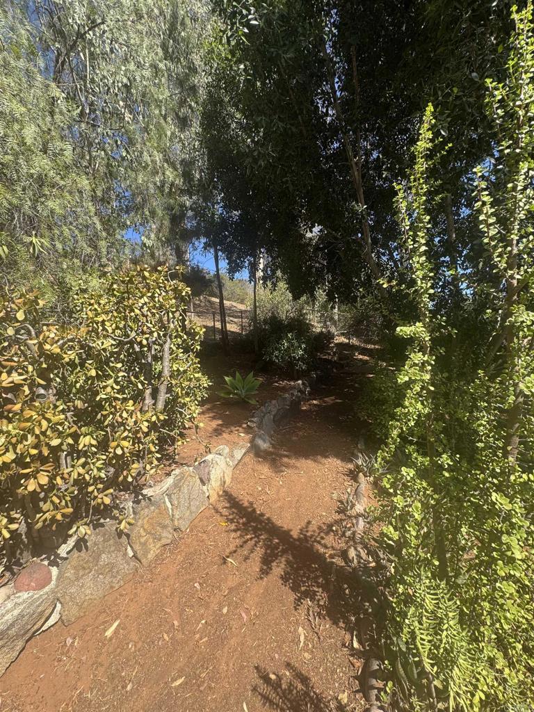 11556 Bridle Path Lane Property Photo 29