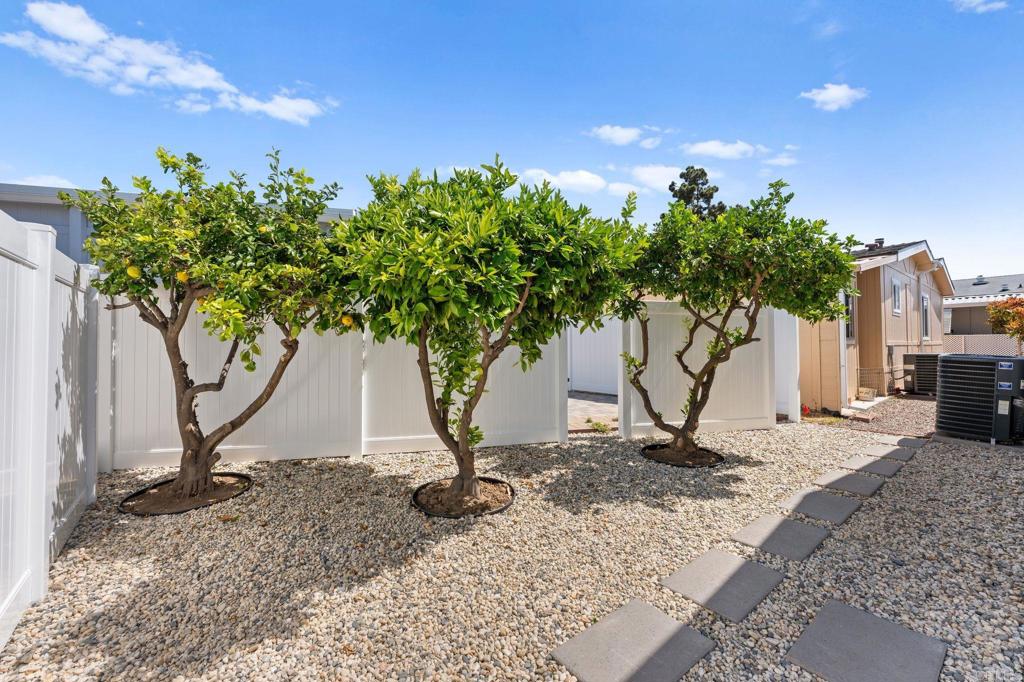 3473 Don Ortega Drive Property Photo 35