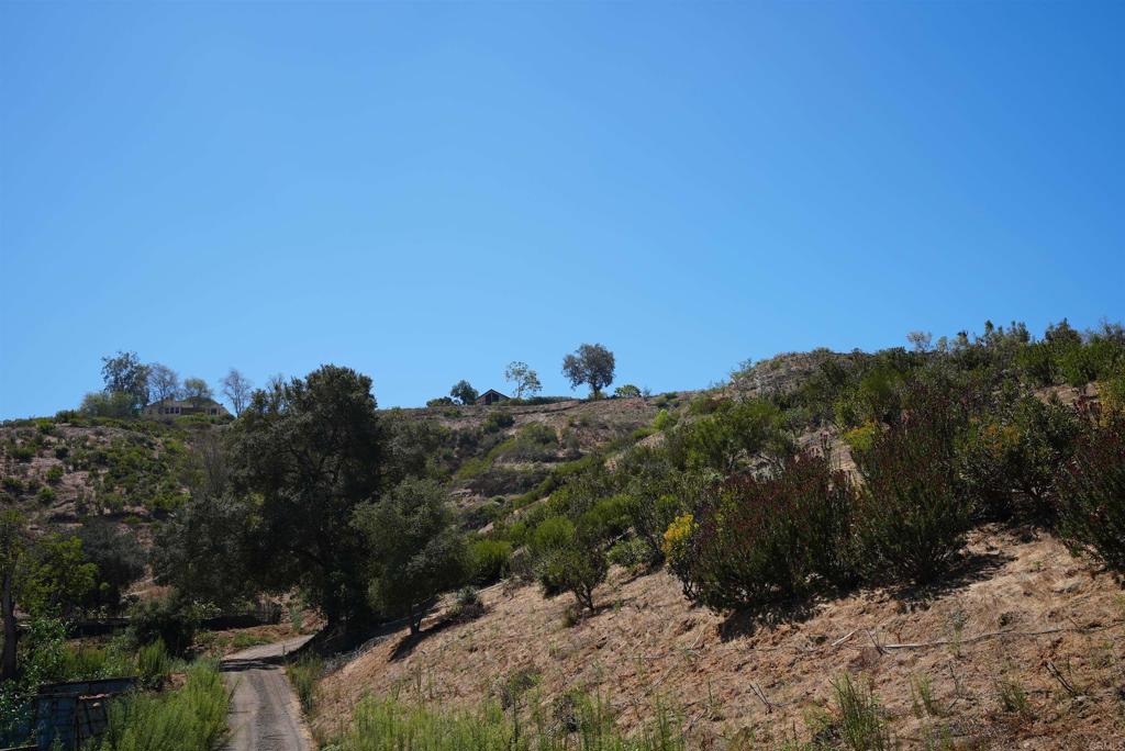 1152 Tarek Property Photo 7