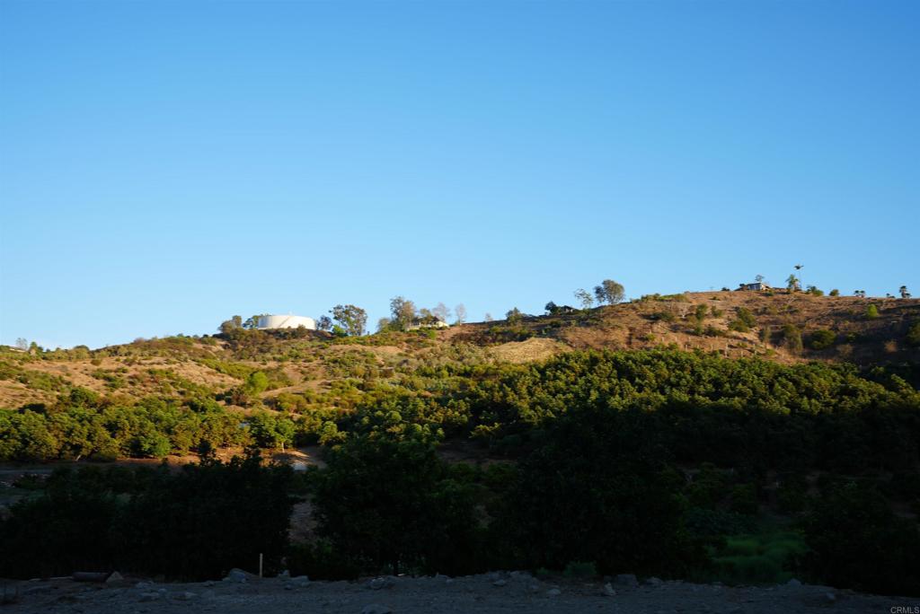 1152 Tarek Property Photo 17