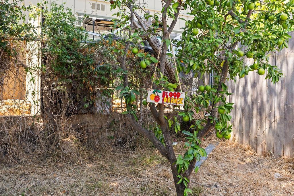 1061 Old Stage Road Property Photo 38