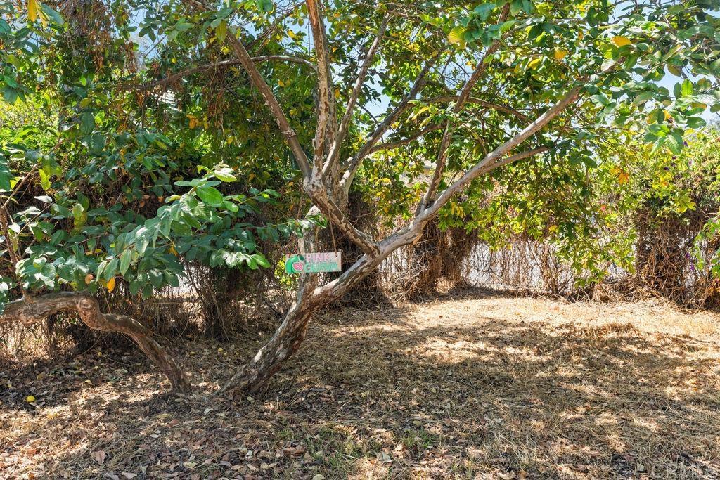 1061 Old Stage Road Property Photo 40