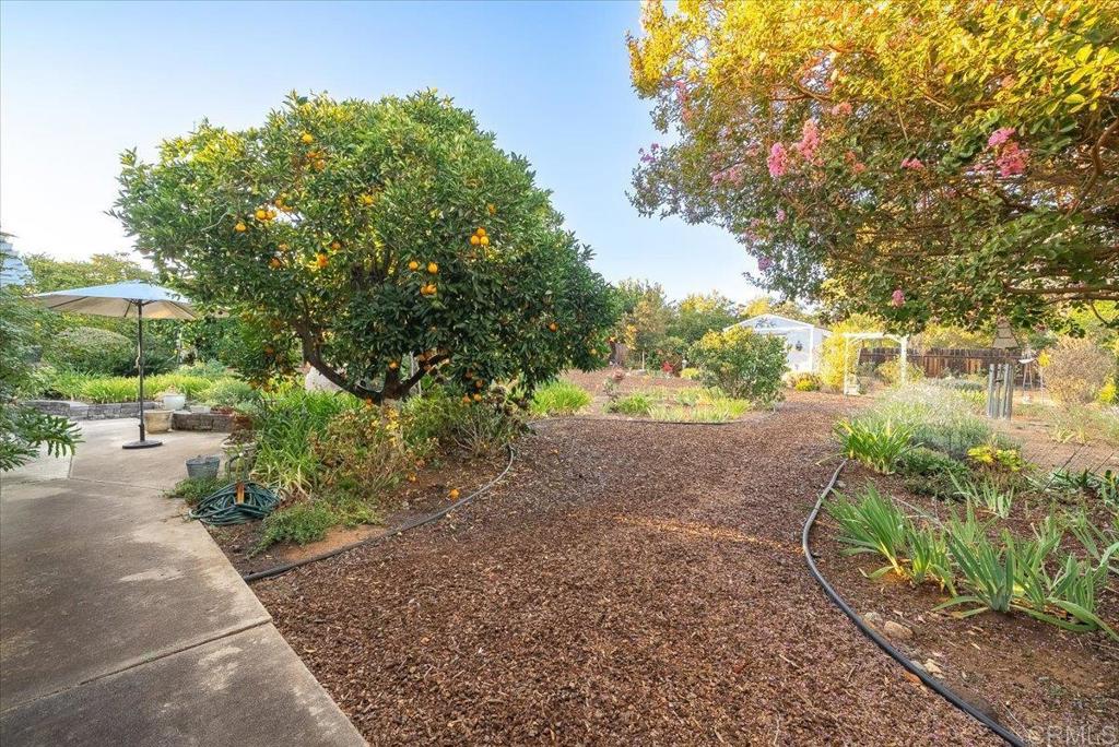 1346 Birch Avenue Property Photo 36