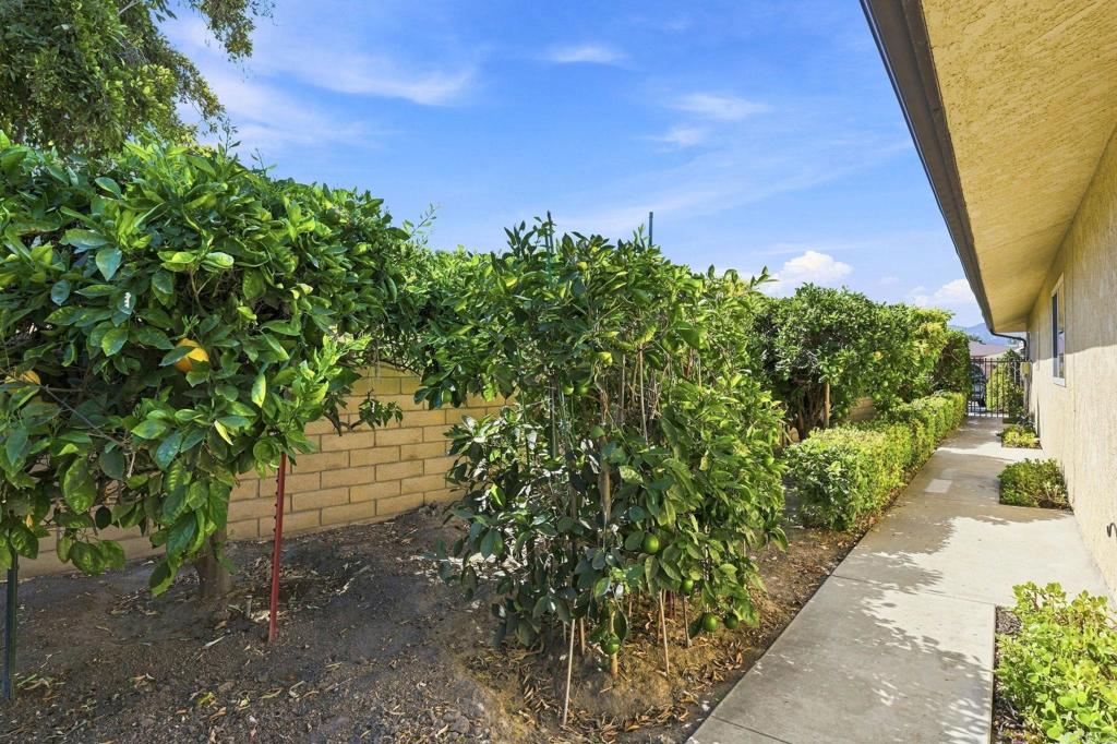 43154 Parkway Avenue Property Photo 44