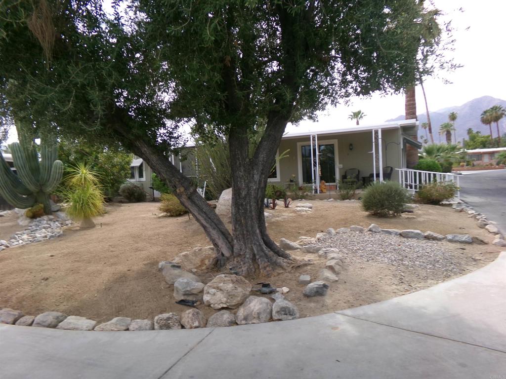 1010 Palm Canyon Drive 55 Property Photo 1