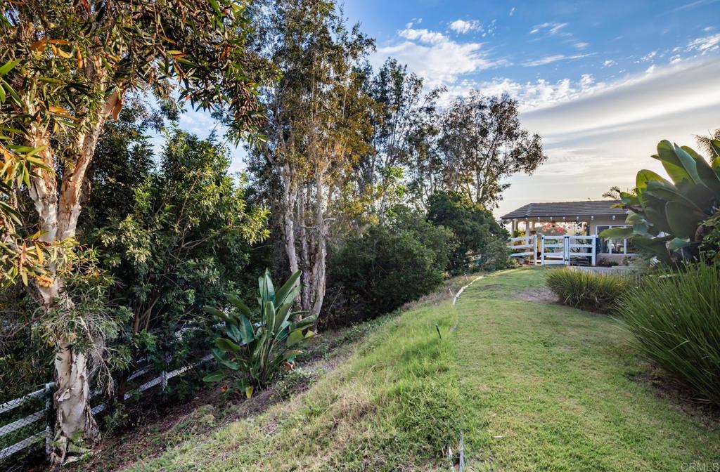 3105 Caminito Ricardo Property Photo 14