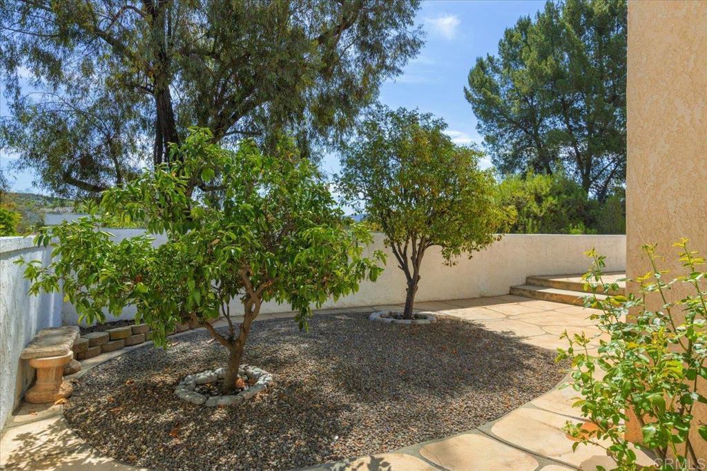 539 Avenida Blanco Property Photo 25
