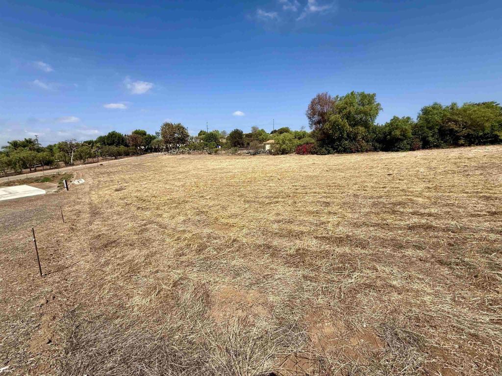 1916 Grey Rabbit Hollow Lane Property Photo 1