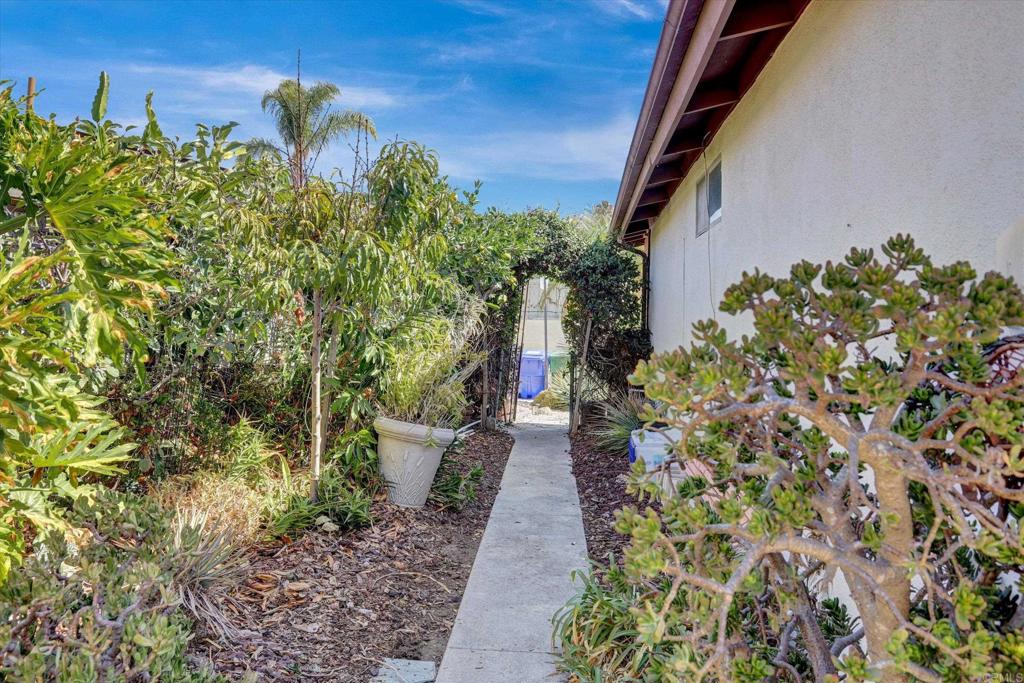 3239 Calle Osuna Property Photo 7