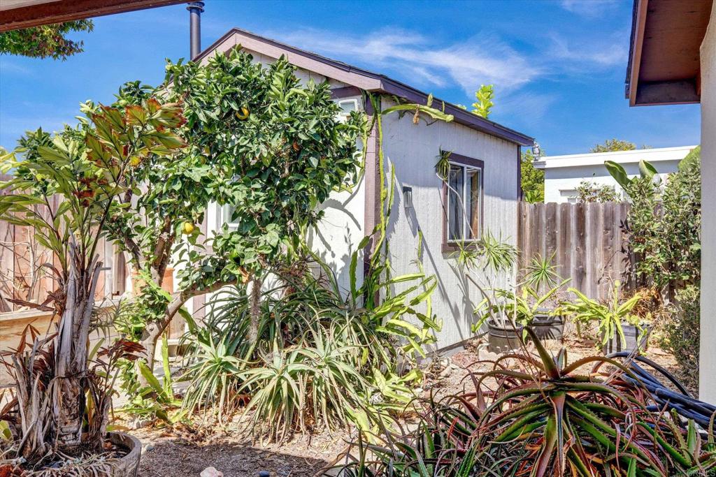 3239 Calle Osuna Property Photo 13