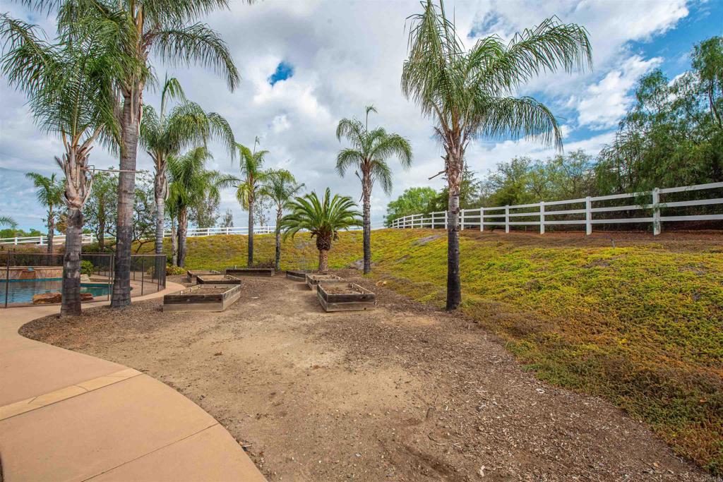 30540 Palomar Vista Dr Property Photo 43