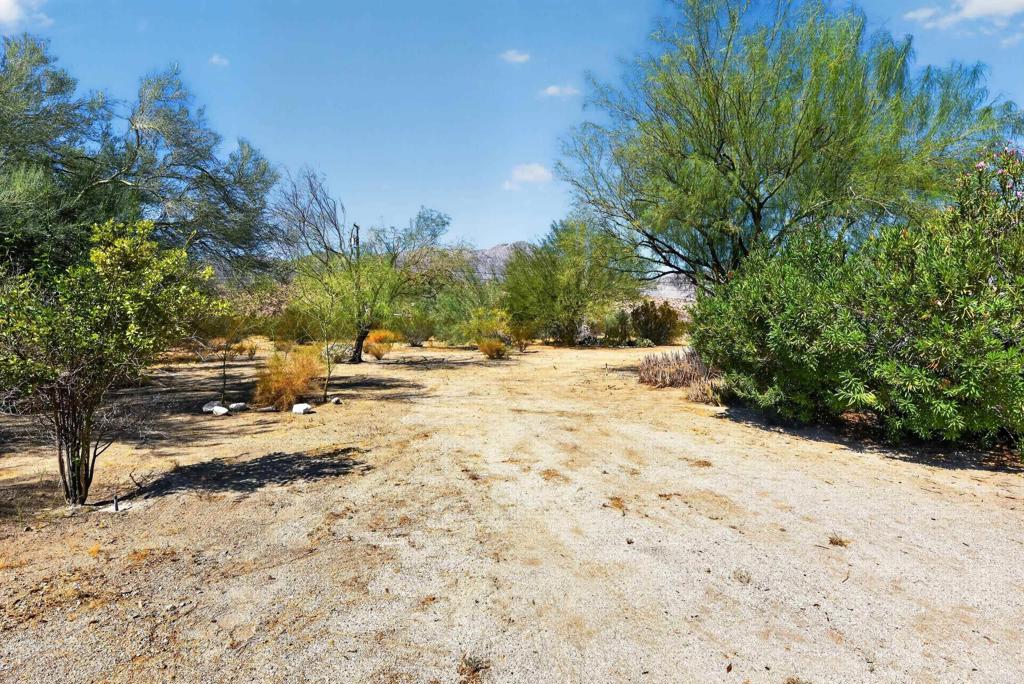 2768 Borrego Springs Road Property Photo 34