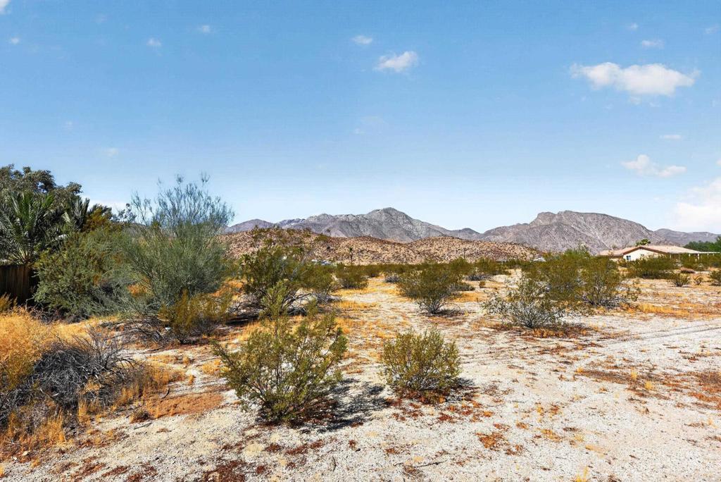 2768 Borrego Springs Road Property Photo 35