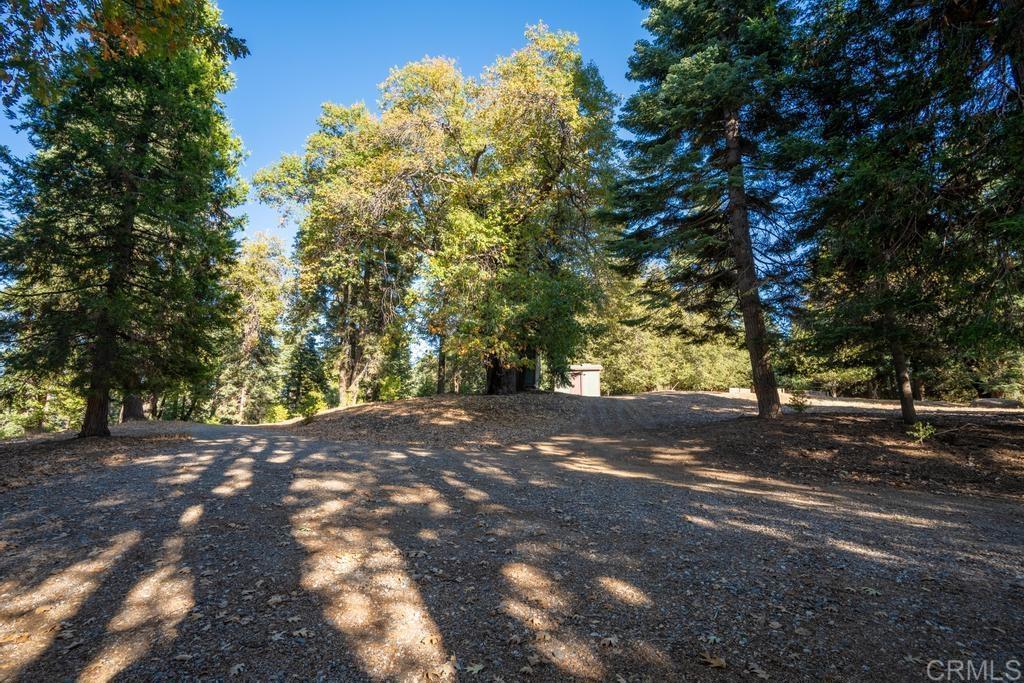 3413 Fern Meadow Road Property Photo 46